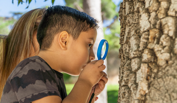 boy looking a tree trunk with a magnifying glass
