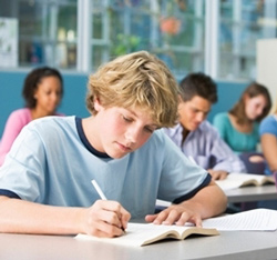 Dyslexia and School