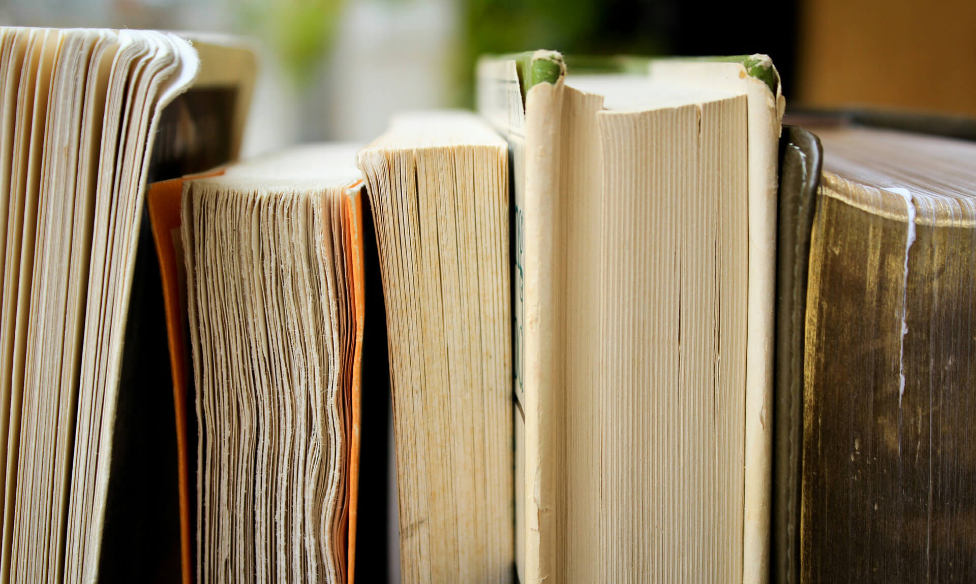close-up of books