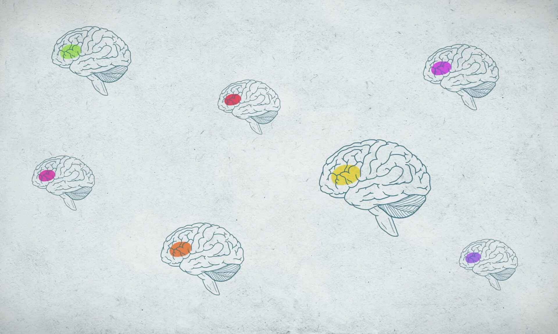 image depicting brains with particular region highlighted